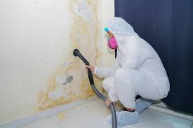 Best Residential Mold Inspection & Testing  in Cheboygan, MI